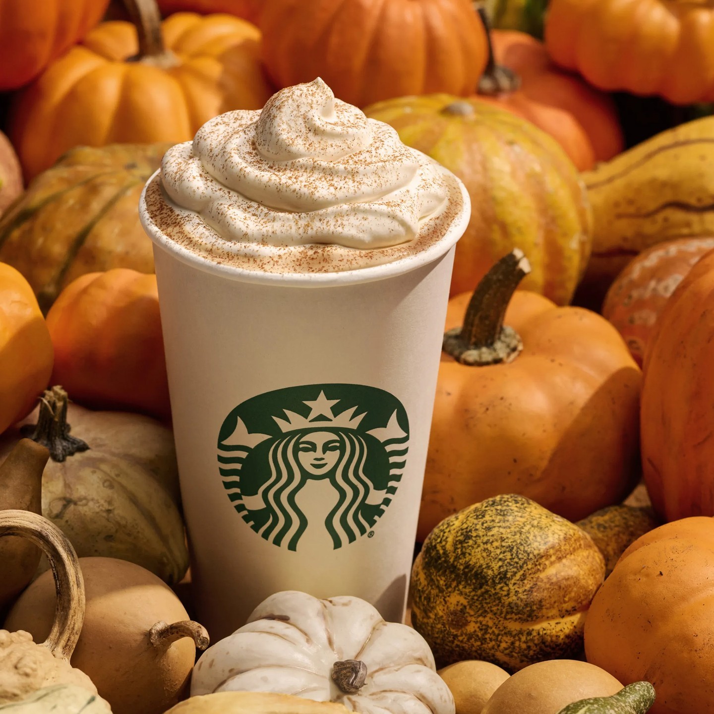 Pumpkin Spice Latte