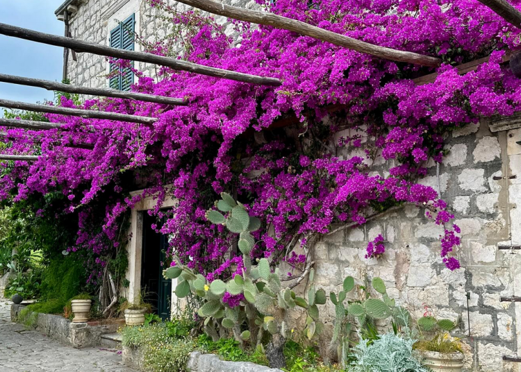 arboretum hrvatska