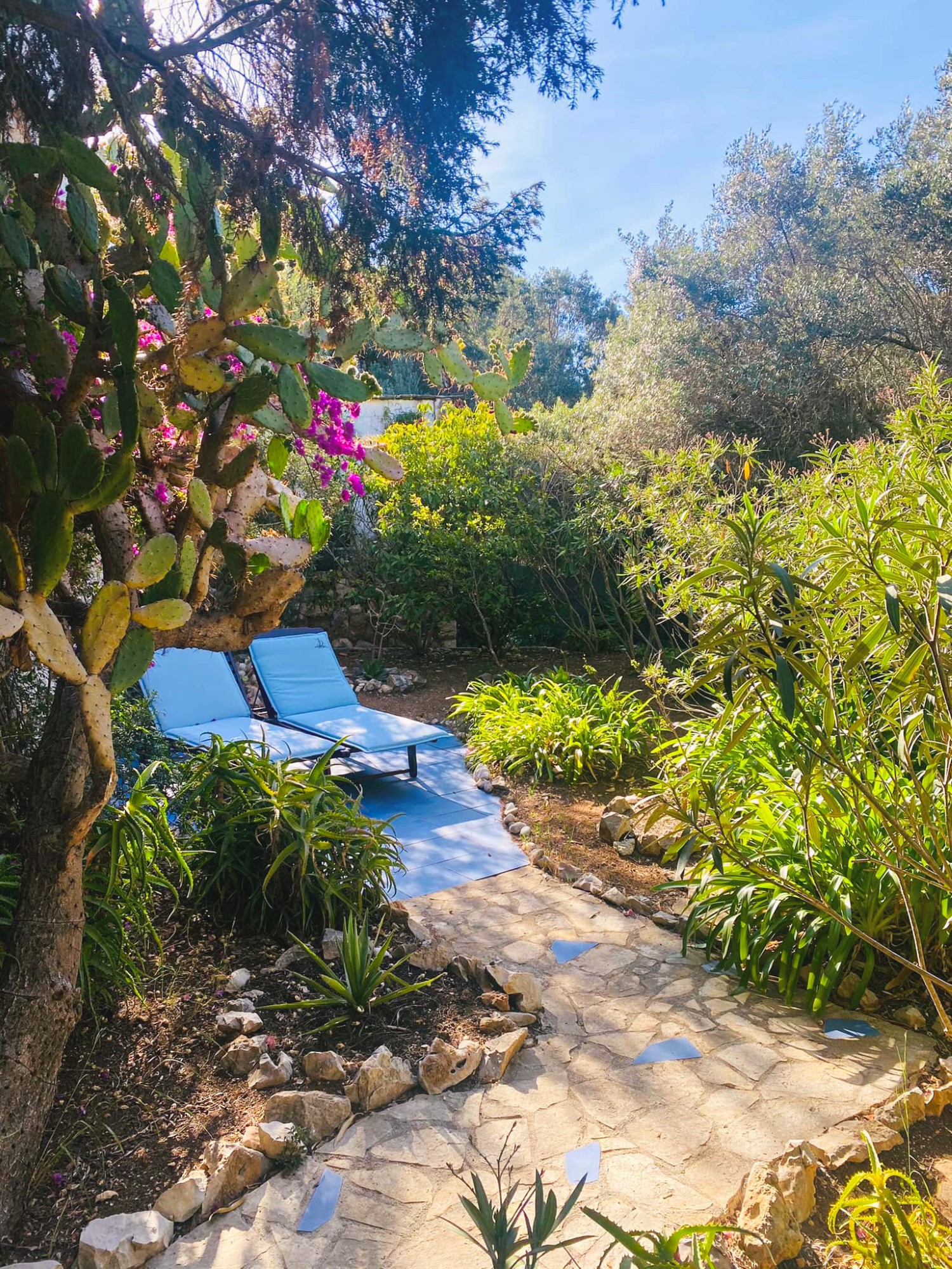 Dancing Flamingos na Palmižani najposebniji je yoga retreat u Hrvatskoj